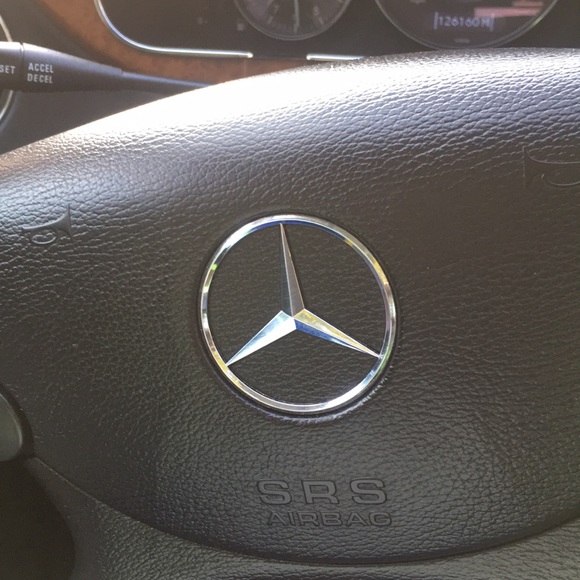 Meet your Posher, Reggie - Picture 1 of 1